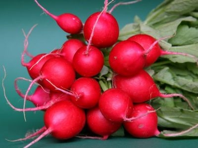Exporter: Armenian radish enters into competition with Israeli one in Russia