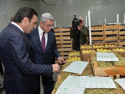 Армянские фрукты могут появиться в супермаркетах Восточной Европы