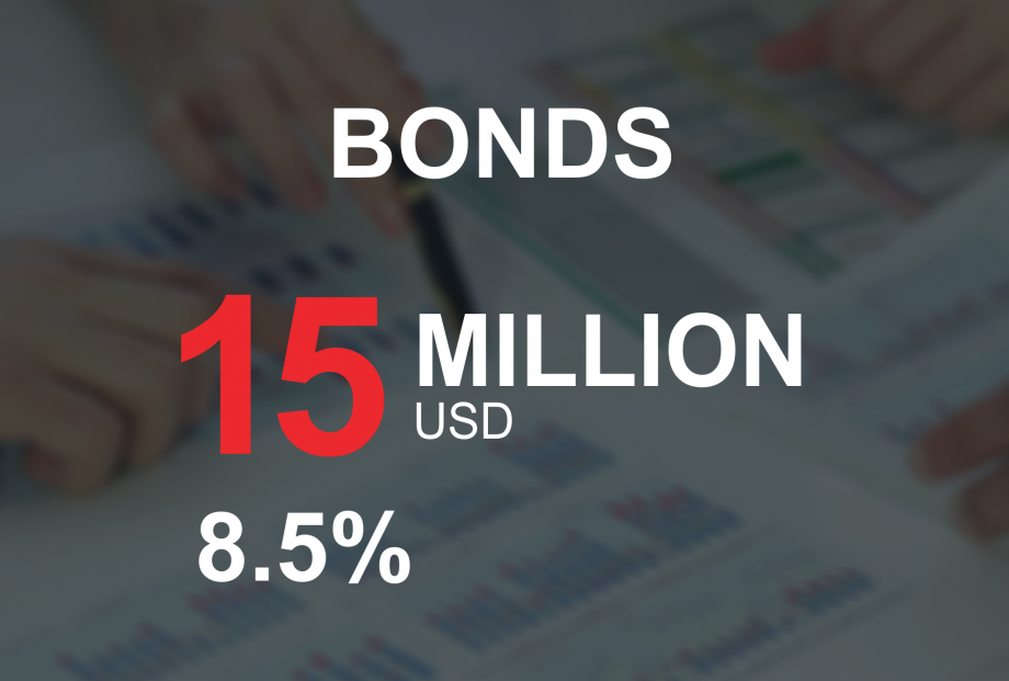 Announcement on public offering of USD bonds 