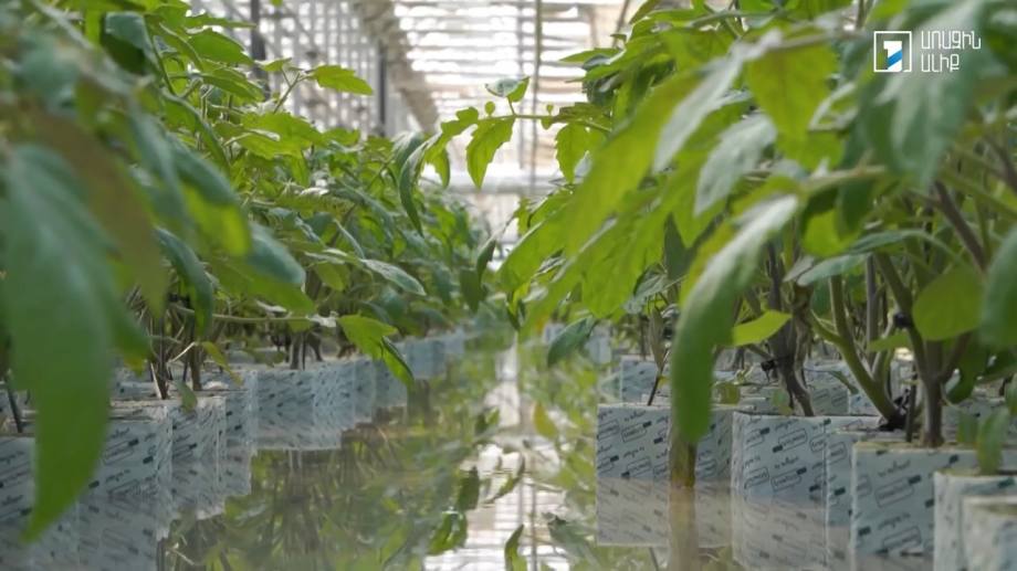 Smart Agriculture: 5th Generation Greenhouses