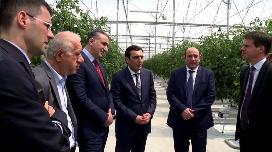 Ֆրանսիական բանկի աջակցությամբ «Սպայկա»-ն ջերմոցային տնտեսություն է հիմնել