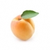 Apricot