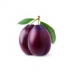 Plum