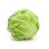 Cabbage