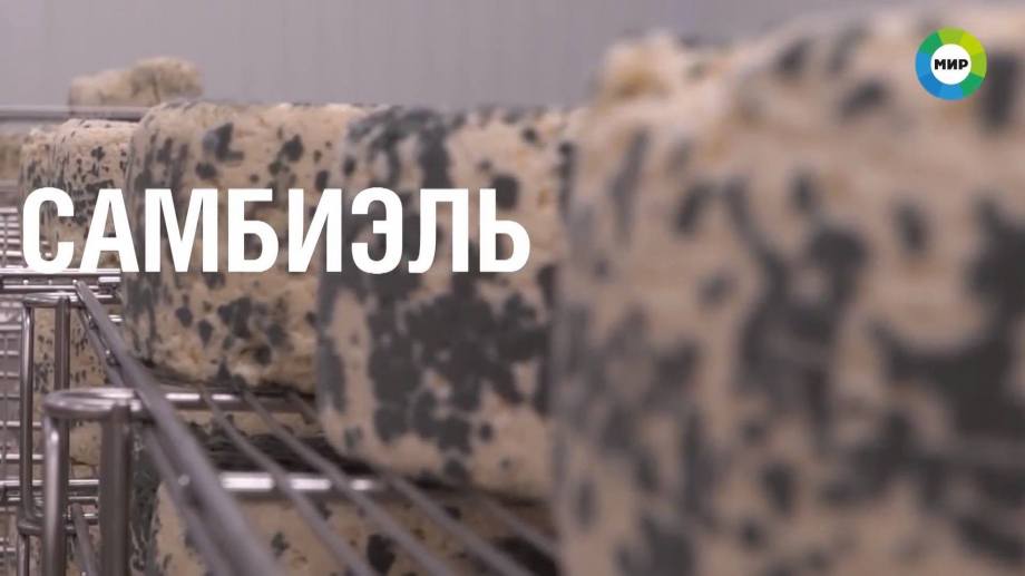 «Mir» TV Channel about the  greenhouses and cheese factory of Spayka 