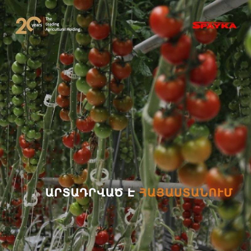 Սպայկա․ Արտադրված է Հայաստանում